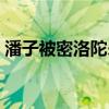 潘子被密洛陀杀死（密洛陀怎么杀死潘子的）
