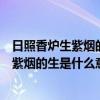 日照香炉生紫烟的生是什么意思诗句的意思是（日照香炉生紫烟的生是什么意思）