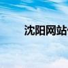 沈阳网站优化公司（沈阳网站优化）