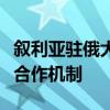 叙利亚驻俄大使：叙利亚已申请加入金砖国家合作机制