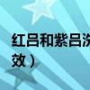 红吕和紫吕洗发水区别（红吕和紫吕洗发水功效）
