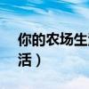 你的农场生活在steam叫什么（你的农场生活）