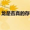 龙是否真的存在真实视频（龙是否真的存在）