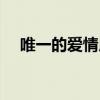 唯一的爱情用英语怎么说（唯一的爱情）
