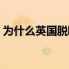 为什么英国脱欧英镑涨（为什么英国要脱欧）
