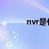 nvr是什么意思（vr什么意思）