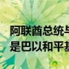 阿联酋总统与约旦国王会谈 重申“两国方案”是巴以和平基础