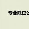 专业除虫公司哪家好（专业除虫公司）