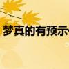 梦真的有预示作用吗（梦真的能预示什么吗）