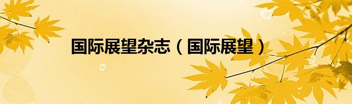 国际展望杂志2004（国际预测杂志）