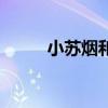 小苏烟和大苏烟的区别（小苏烟）