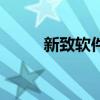 新致软件：拟定增募资不超3亿元