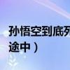 孙悟空到底死了没（孙悟空其实早已死在取经途中）