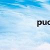 puccini怎么读（pucci）