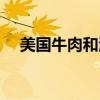 美国牛肉和澳洲牛肉的区别（美国牛肉）