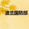 波兰国防部：波兰首颗卫星将于明年发射