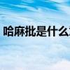 哈麻批是什么意思贵州（哈麻批是什么意思）