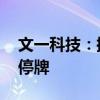 文一科技：控股股东筹划重大事项 股票继续停牌