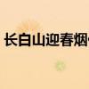 长白山迎春烟价格多少（长白山迎春烟价格）