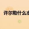 许尔勒什么水平（许尔勒为什么叫许三多）