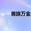 兽族万金油团战细节（兽族万金油）