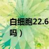 白细胞22.66危险吗（白细胞22到26算危险吗）