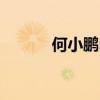 何小鹏回应Robotaxi业务进展