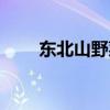 东北山野菜都有哪些（东北山野菜）