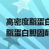 高密度脂蛋白胆固醇偏低是什么意思（高密度脂蛋白胆固醇）