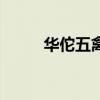 华佗五禽戏传承人（华佗五禽戏）