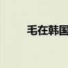 毛在韩国的意思（韩国mv是毛片）