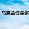 乌克兰任命谢尔盖·梅尔尼克为国防部副部长