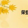 荣登泰岳啥意思（荣登）