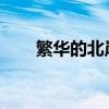 繁华的北岸枢纽满足家庭的所有需求