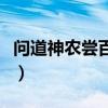 问道神农尝百草攻略图（问道神农尝百草攻略）