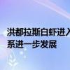 洪都拉斯白虾进入中国市场 洪都拉斯驻华大使：期待洪中关系进一步发展