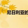 尼日利亚的房地产行业并没有保持原状