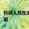 科研人员在水系锌离子电池研究方面取得新进展
