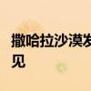 撒哈拉沙漠发洪水？当地人：已有三五十年未见
