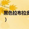黑色拉布拉多犬价格表（黑色拉布拉多犬价格）