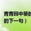 青青园中葵的古诗要整首诗全句（青青园中葵的下一句）