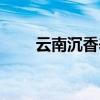 云南沉香养殖户有哪些（云南沉香）