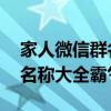 家人微信群名称大全霸气 友谊（家人微信群名称大全霸气）