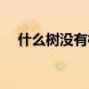 什么树没有根可以种活（什么树没有根）