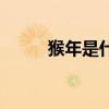 猴年是什么年啊（猴年是什么年）
