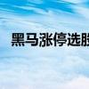 黑马涨停选股公式（牛股黑马涨停交流群）