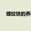螺纹铁的养殖方法和注意事项（螺纹铁）