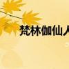 梵林伽仙人鞭哪里买（梵林伽仙人鞭）