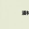 潘林生还在吗（潘林生）