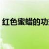 红色蜜蜡的功效与作用（蜜蜡的功效与作用）